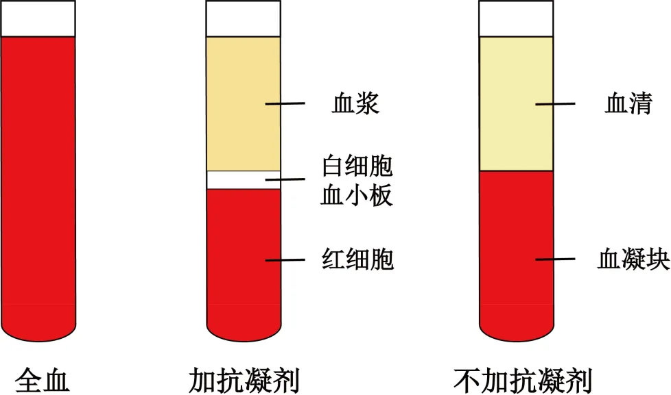抗凝劑 拷貝.jpg
