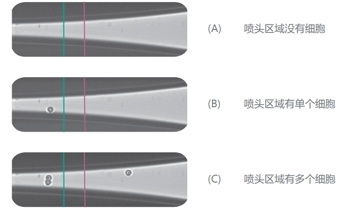 圖片5.png