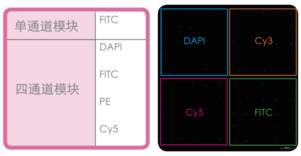 微信截圖_20240625134958.png