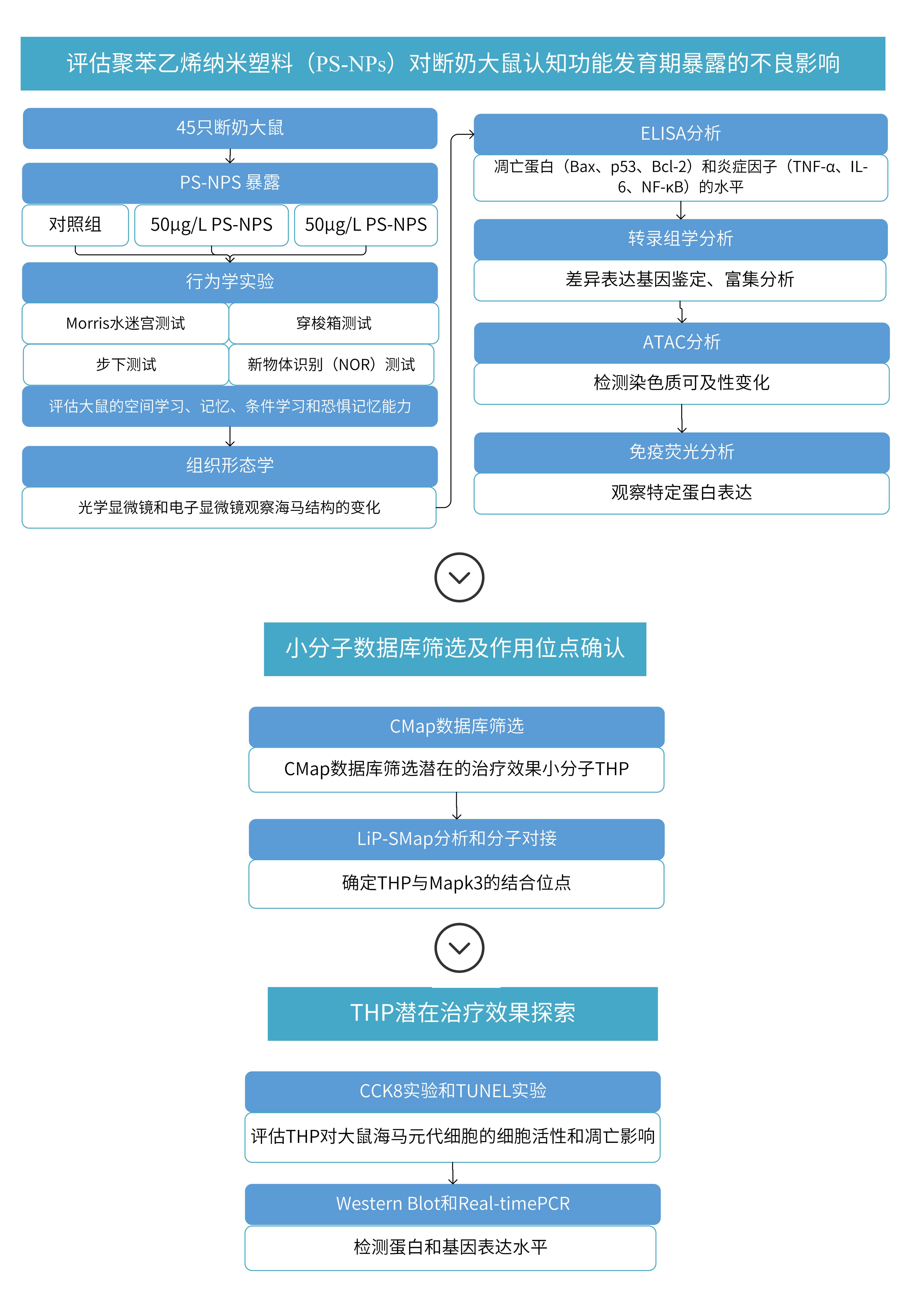 LiP-MS文章解讀思路_00(1)(1).jpg
