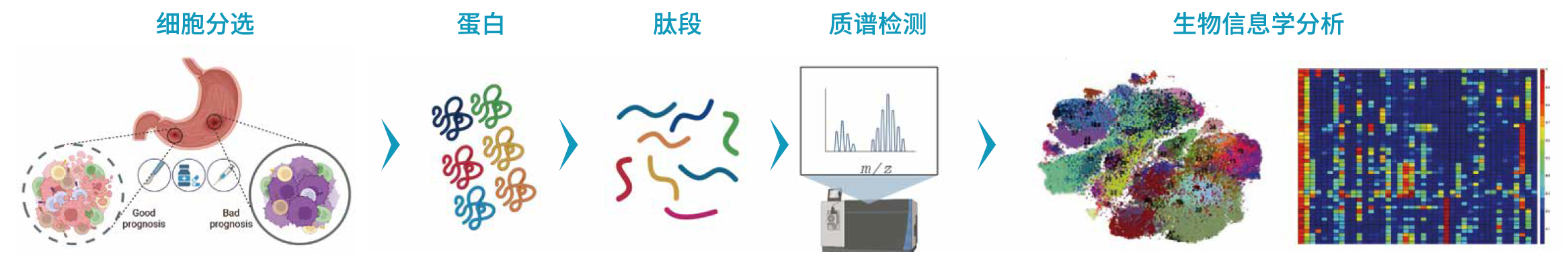 微信圖片_20240226155024.png