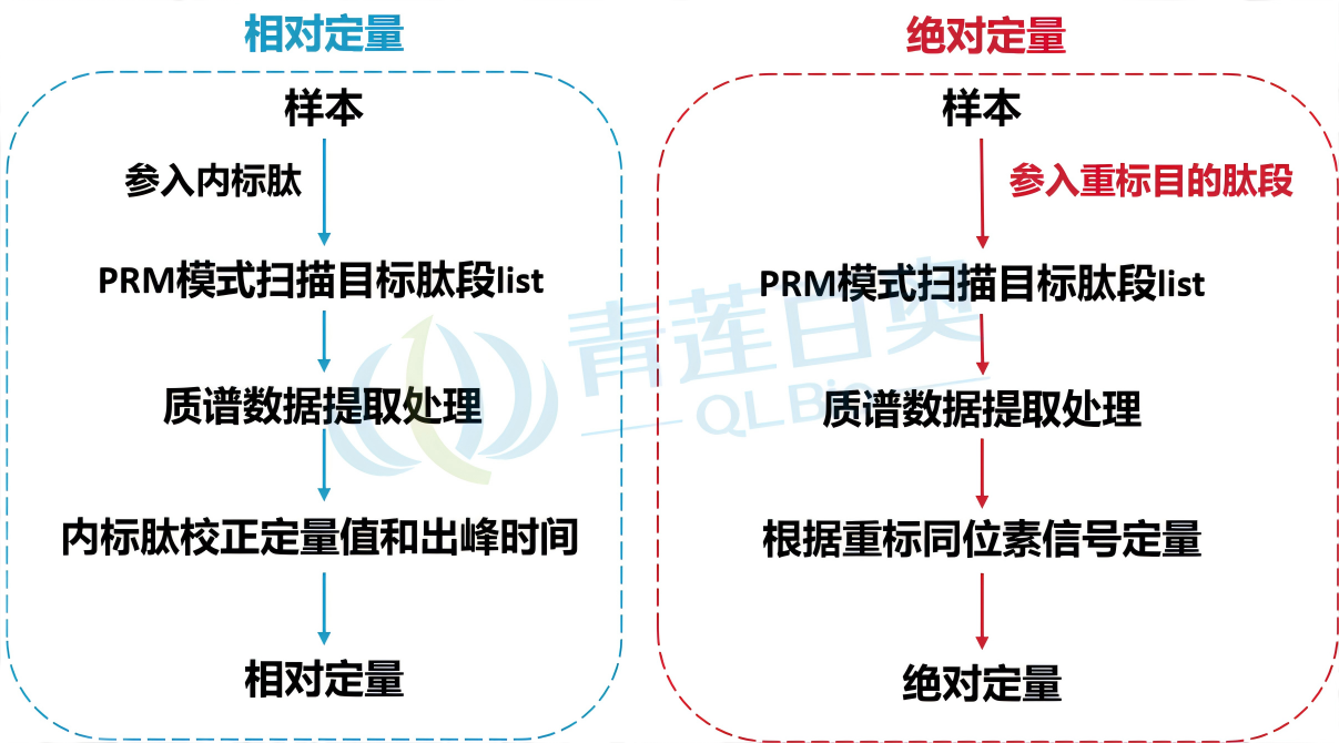 圖片3(1)-.png