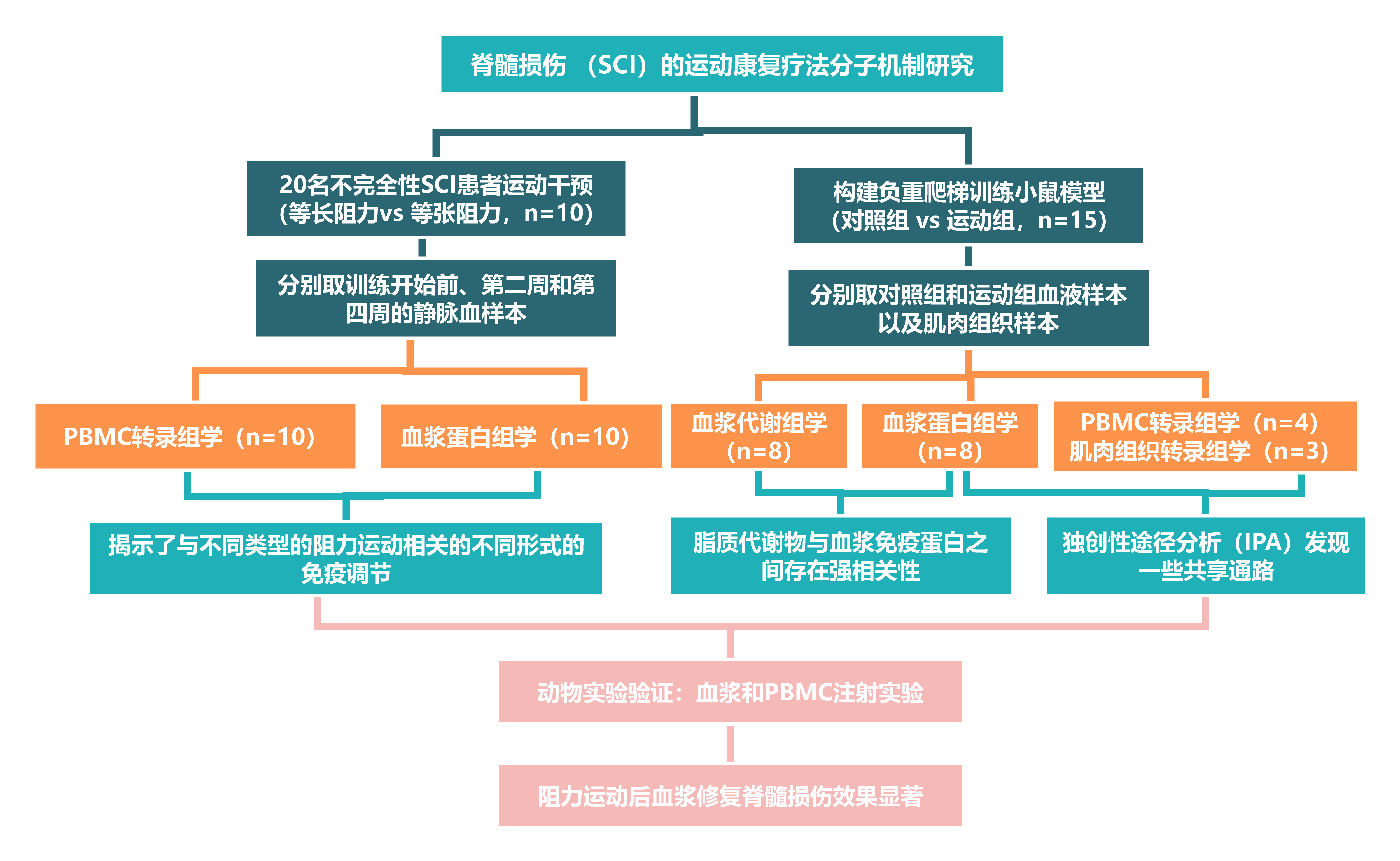 思維導(dǎo)圖可視化模型(4)(1)222.png